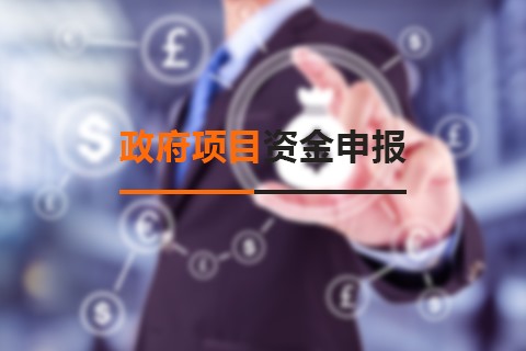 政府项目资金申报